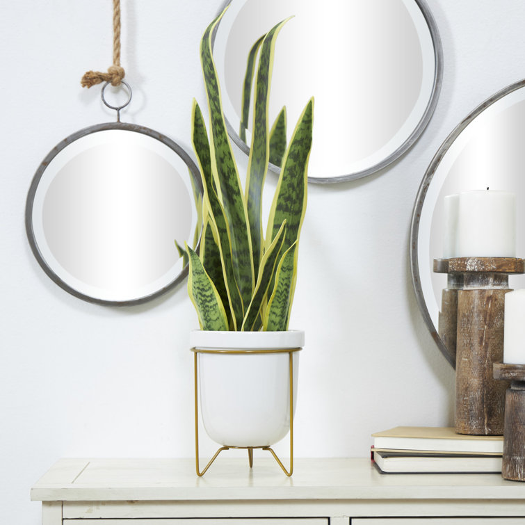 Novogratz 25'' Faux Snake Plant in Decorative Vase Wayfair